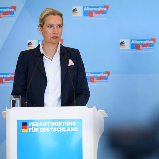 Nach dem AfD-Bundesparteitag: Wohin steuert die Partei?