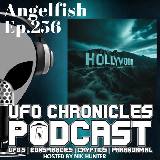 Ep.256 Angelfish (Throwback)
