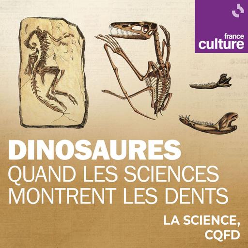 Dinosaures : les sciences montrent les dents : Un dino en tête-à-tête avec Ronan Allain