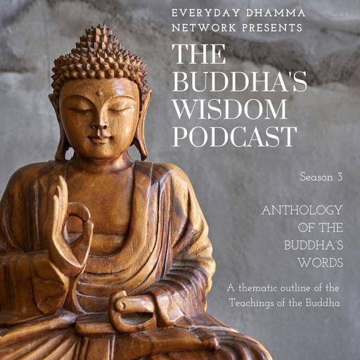 Mindfulness of Breathing - In the Buddha’s Words (S3E24)