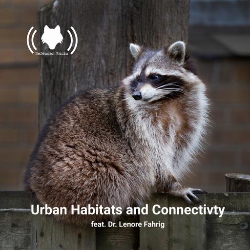 Urban Habitats and Connectivity featuring Dr. Lenore Fahrig