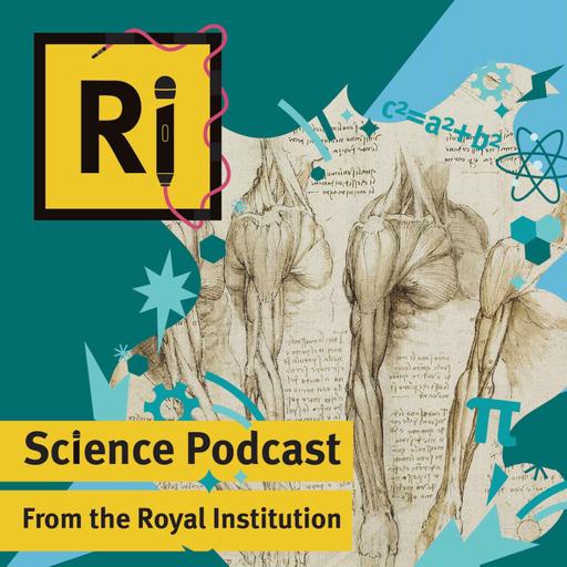 From the Theatre: How biomechanics is optimising human movement - with Eline van der Kruk