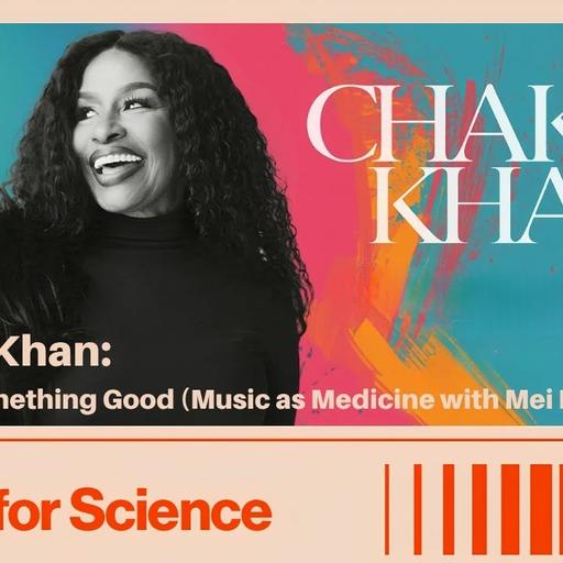 Chaka Khan: Tell Me Something Good (Music as Medicine with Mei Rui)