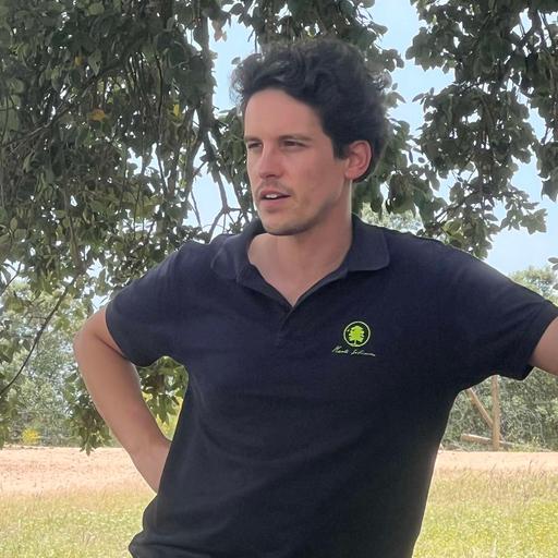 431 Diogo Pinho - Why Europe's largest silvopasture system is collapsing and how grazing fixes it