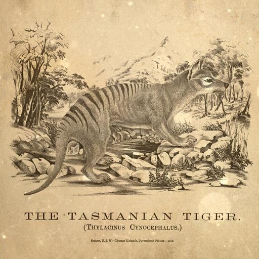 Loremen S7Ep24 - Australian Cryptids with Scout Boxall