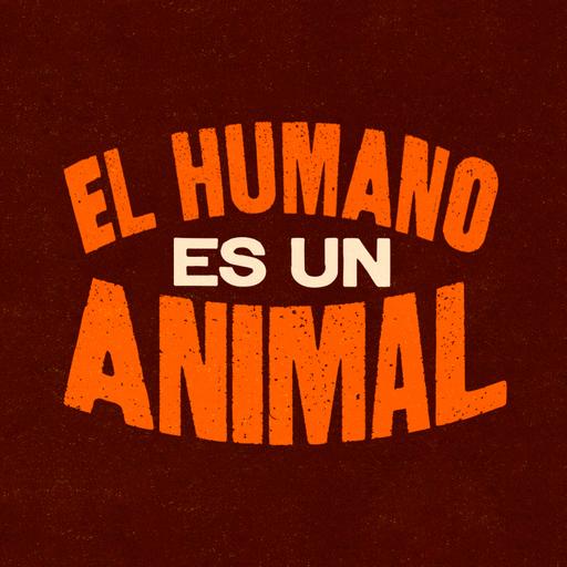 Historias de trampa en el mundial