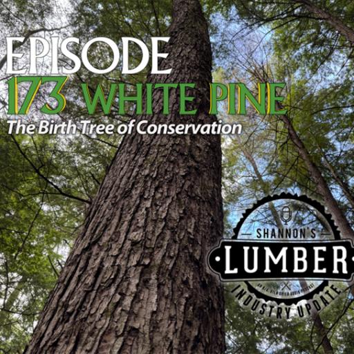 173 - White Pine