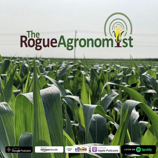 Rogue Return…Independent Agronomists Thoughts