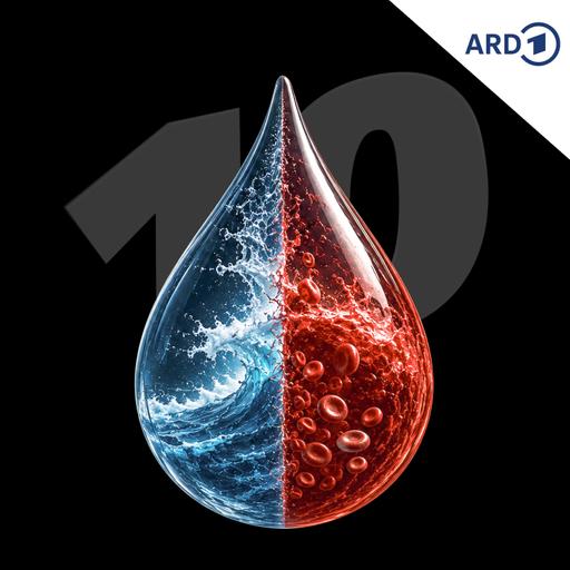 Wie ist unser Blut enstanden?