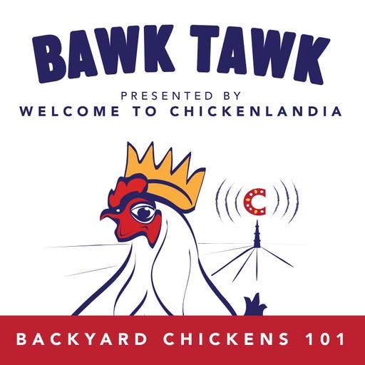 Fly Strike: The Worst Thing that Can Happen to a Chicken!
