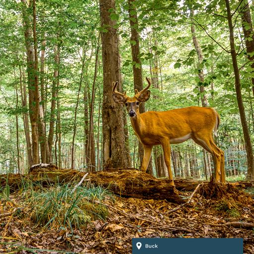 daily304 – Episode 07.08.2026