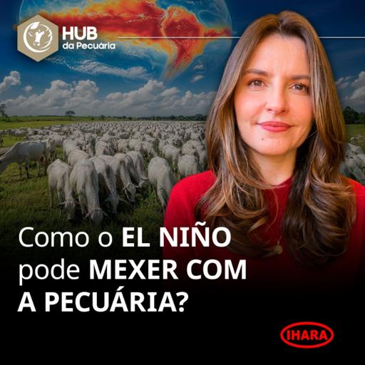 1008. Como o El Niño poderá mexer com a pecuária?