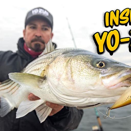 Chris Bishop of Yo-Zuri: Mag vs. Hydro, Darter Tactics & Northeast Colors