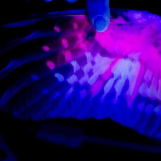 Glowing Feathers