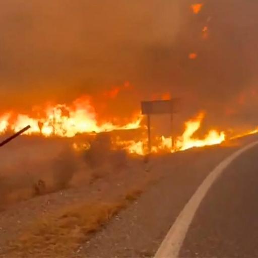 12 morts, 23 portés disparus, des victimes de "différentes nationalités"... Le bilan de l'incendie en Andalousie s'alourdit