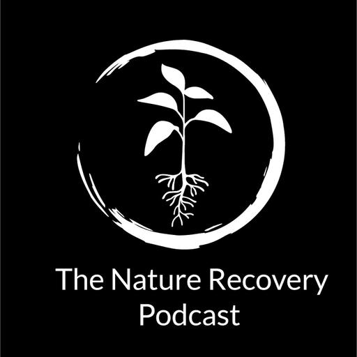 Planning for the Future: Climate Resilience & Indigenous Knowledge with Prof. Iain White