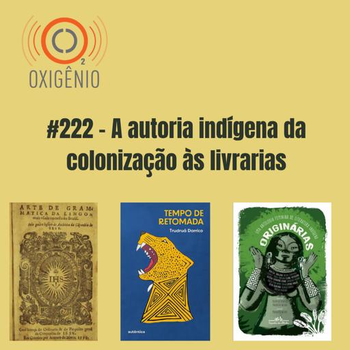 A autoria indígena da colonização às livrarias