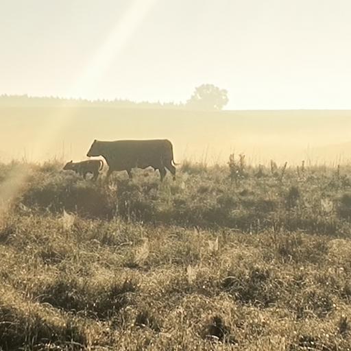 #Nebraska 2 Minute Warning as energy of the day comes alive we must realize to preserve freedom we must come up out of the fog and see clearly. Preserve the Sandhills is essential to future Freedom.
