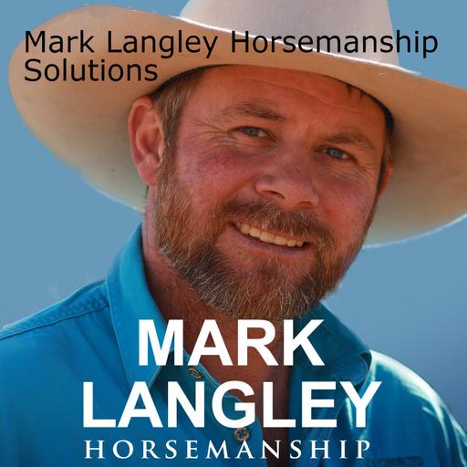 Helping Anxious Horses Find Calm, Confidence & Self-Regulation