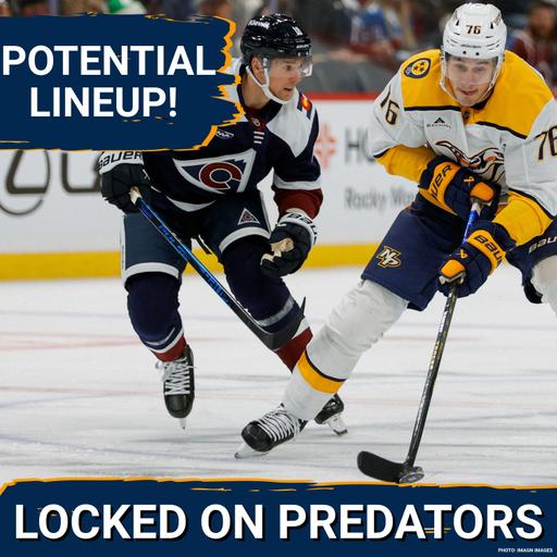 Is It September Yet? | Lets Talk Predators Potential Roster, Lines & Pairings