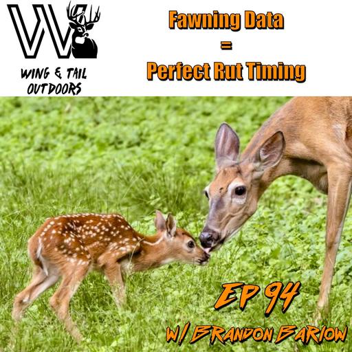 Wing & Tail Outdoors - Fawning Data: Perfect Rut Timing w/ Brandon Barlow