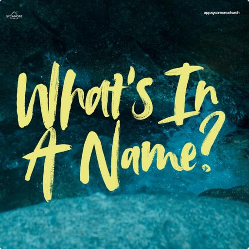 What's In A Name? | Adebola Moody