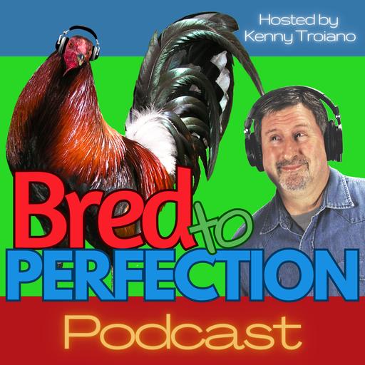Fan Favorite Episode - Wry Tails, Squirrel Tails and Broken Feathers