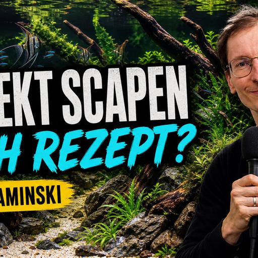 457: Ein Rezept fürs Scapen (Lukas Kaminski)