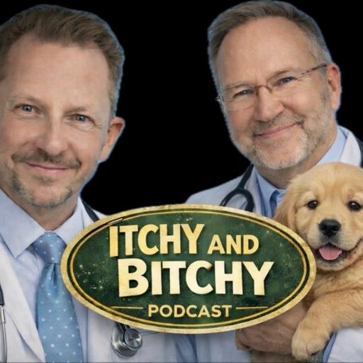 224: DOCs Itchy&Bitchy Answer YOUR Questions - Global Edition!