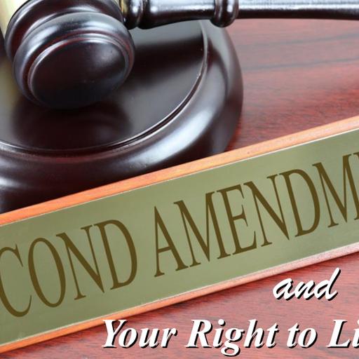 531 - The Second Amendment and Your Right to Live Free