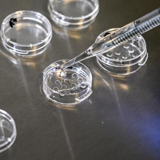 Mutterschaft auf Eis: Wenn sich Frauen ihre Eizellen einfrieren lassen