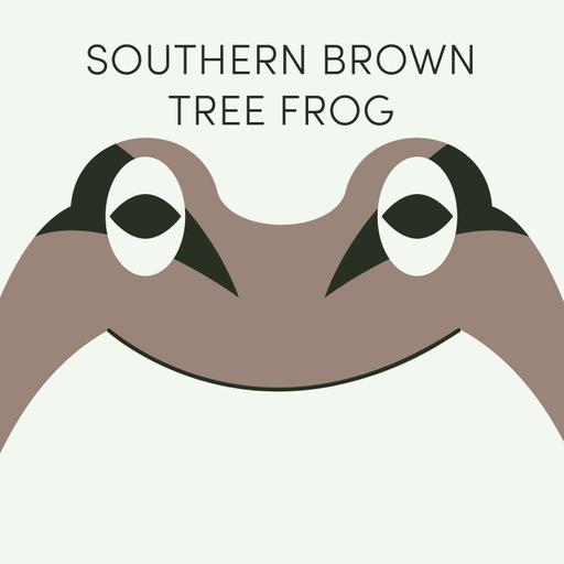 Southern Brown Tree Frog | Week of July 13th