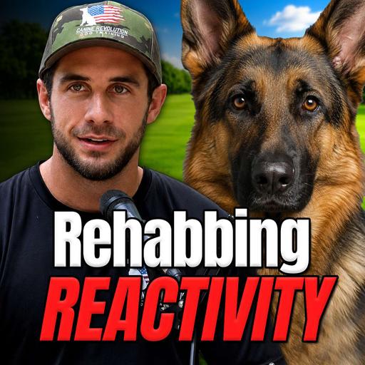 #160 How We Rehabbed a Reactive Dog (In 4 Steps)