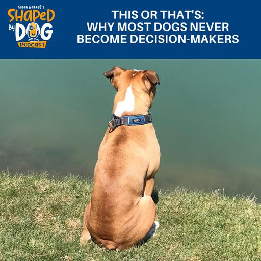 This Or That's: Why Most Dogs Never Become Decision-Makers #331