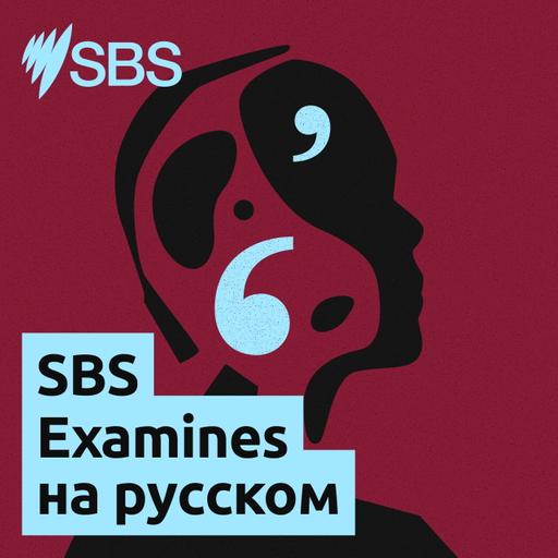 Playing against prejudice: The community sports team fighting homophobia and transphobia - SBS Examines. Игра против предрассудков: как спортивная команда борется с гомофобией и трансфобией