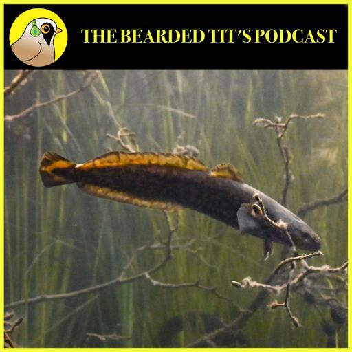 Restoring The River Trent ft Scott McKenzie #193