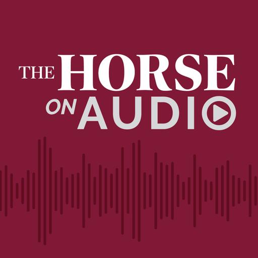 Cellulitis in Horses: Causes and Treatment - The Horse on Audio