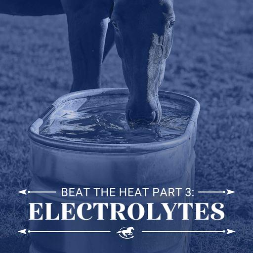 Beat the Heat Part 3 - Electrolytes - The Horse HealthCast with SmartPak