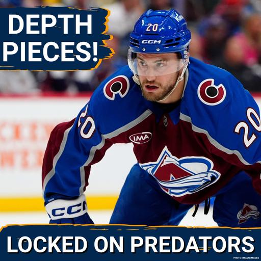Depth Additions! | Let's Meet The Predators Newest Middle & Bottom 6 Acquisitions!