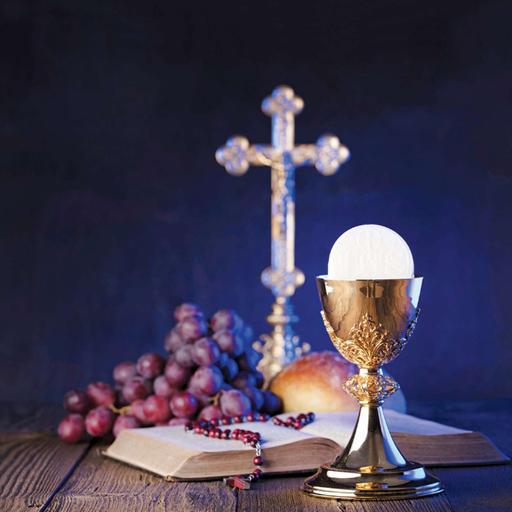 Daily TV Mass Wednesday July 15, 2026