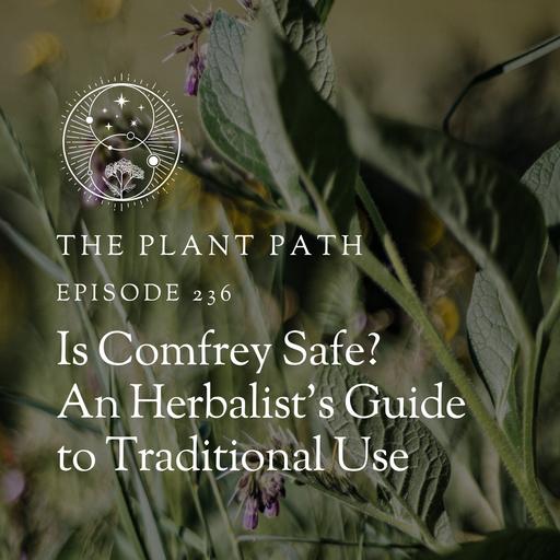 Comfrey Benefits: Traditional Uses & Safety for Herbalists