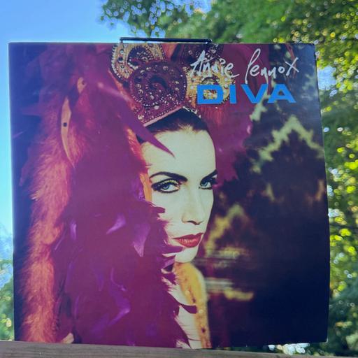 "Little Bird" by Annie Lennox