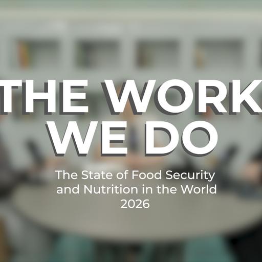 The State of Food Security and Nutrition in the World (SOFI) 2026 | The Cost of a Healthy Diet | The Work We Do