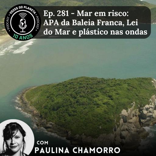 Ep. 281 - Mar em risco: APA da Baleia Franca, Lei do Mar e plástico nas ondas