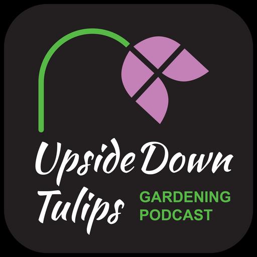 128. Summer Garden Potluck: A Little Bit of Everything