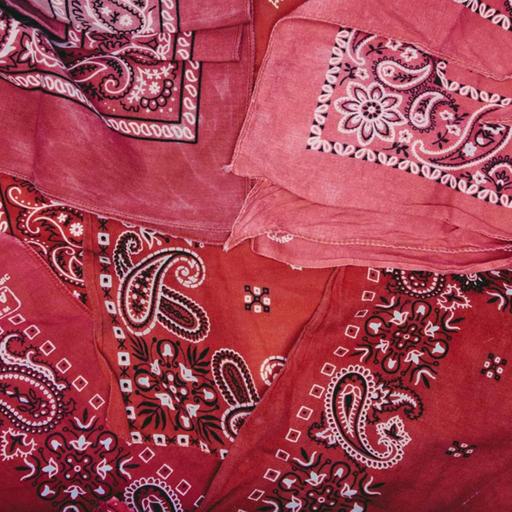 The Bandana - Never Leave Home Without One