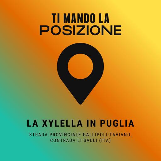 La Xylella in Puglia - Strada Provinciale Gallipoli-Taviano, Contrada Li Sauli (ITA)