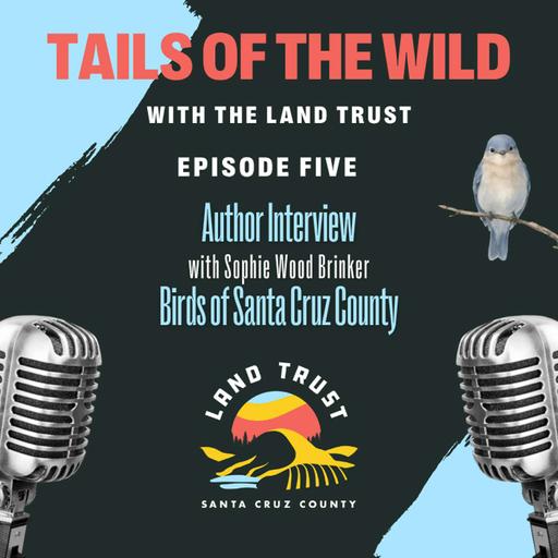 Tails of the Wild: Birds of Santa Cruz County