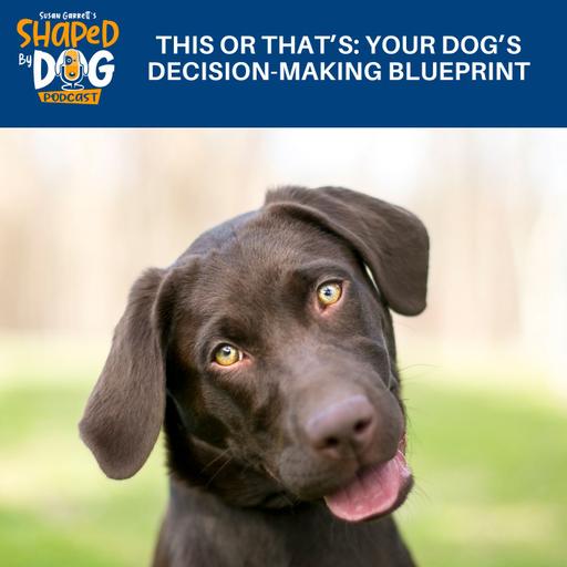 This Or That's: Your Dog's Decision-Making Blueprint #332