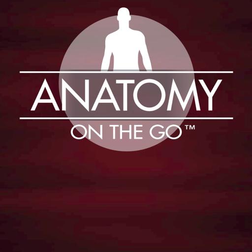 The Last Call for Anatomy